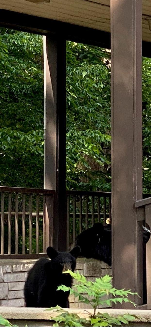 Brookside Lodge Gatlinburg Exterior photo
